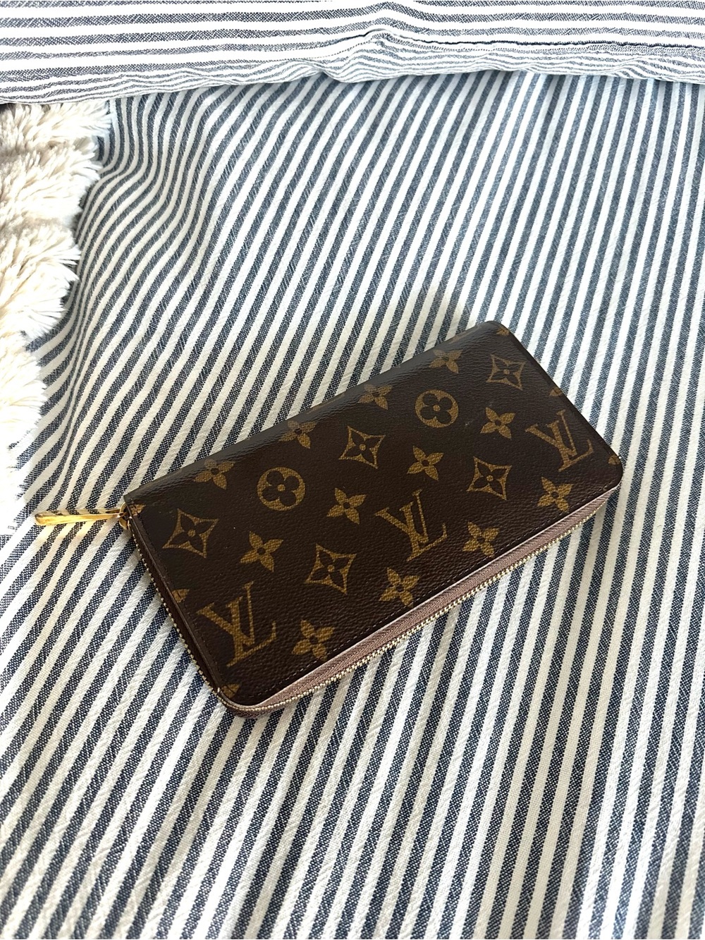 Louis Vuitton Monogram Zippy Wallet